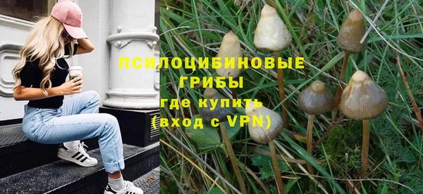 не бодяженный Горняк