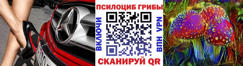 Псилоцибиновые грибы мицелий Дальнереченск