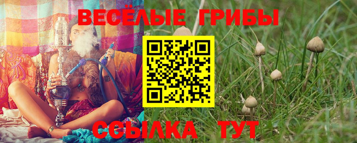 Псилоцибиновые грибы Psilocybine cubensis Дальнереченск