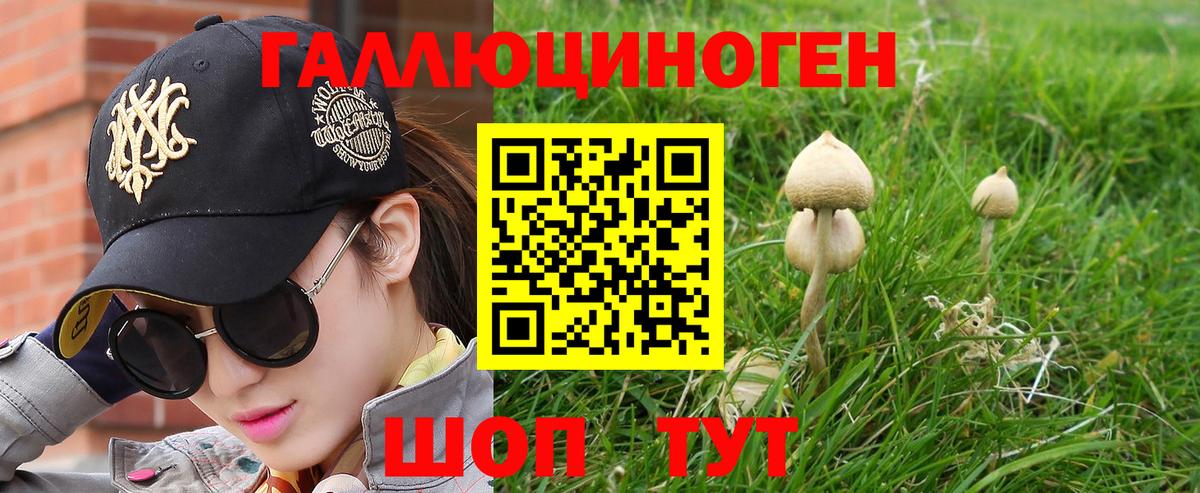 Псилоцибиновые грибы мицелий Дальнереченск